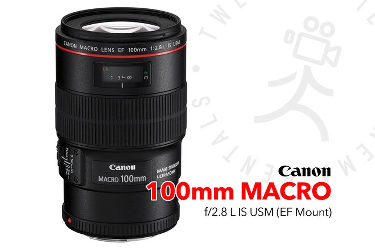Canon EF 100mm f/2.8L Macro IS USM Lens