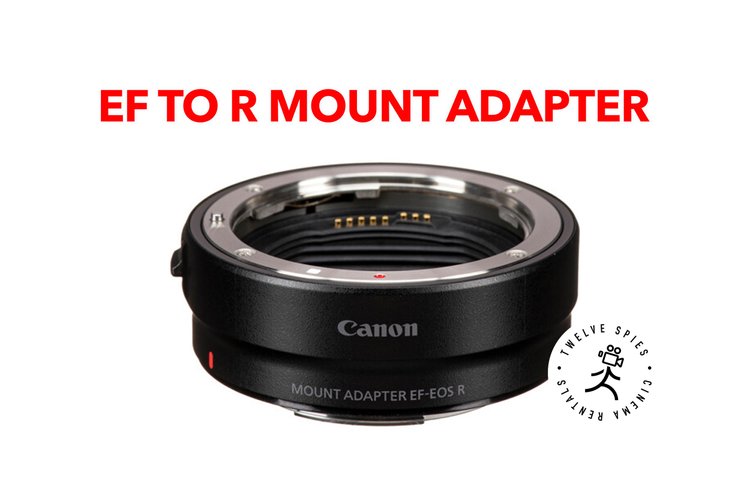 Canon Mount Adapter EF-EOS R (EF lens, R camera)