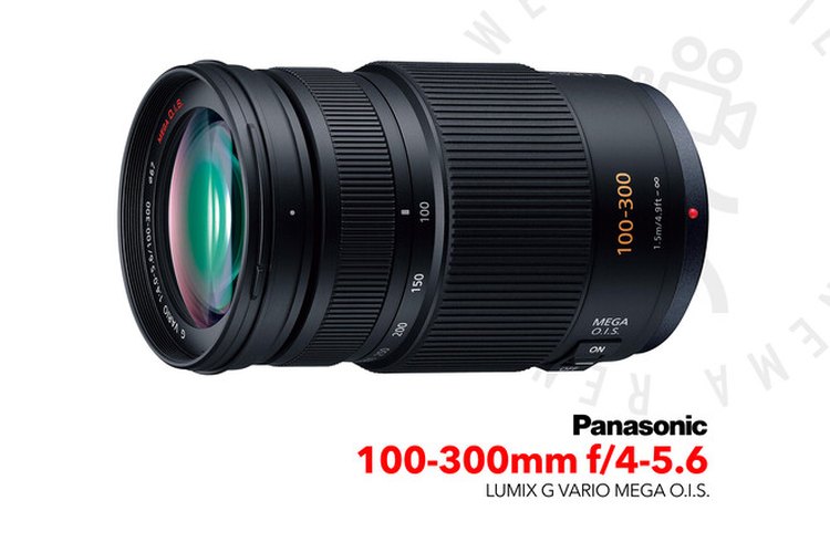 Panasonic Lumix DG Vario 100-300mm f/4-5.6 MEGA O.I.S. Lens